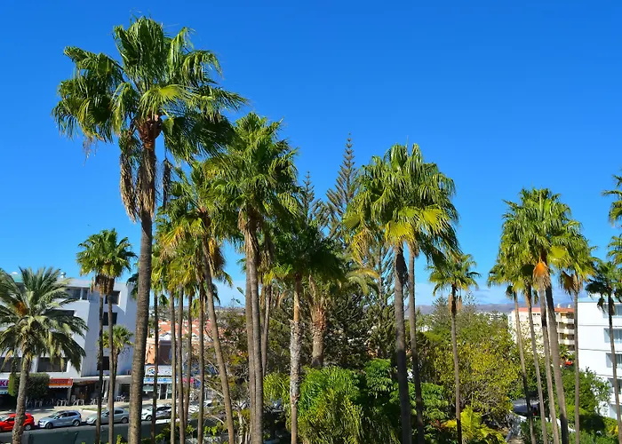 Appartement Playa Del Sol - Adults Only *